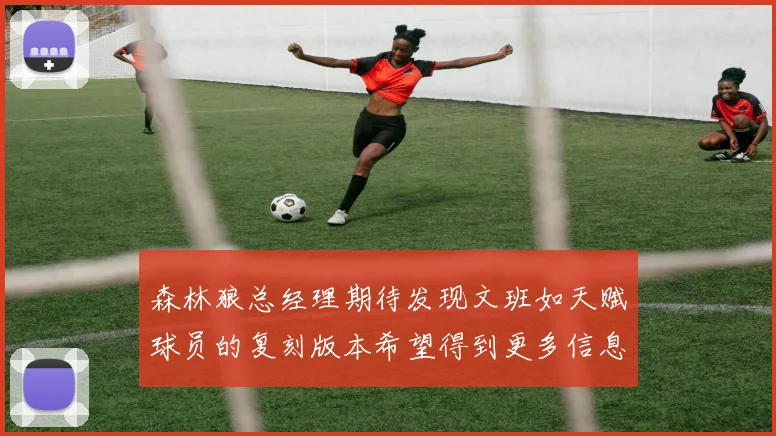 森林狼总经理期待发现文班如天赋球员的复刻版本希望得到更多信息